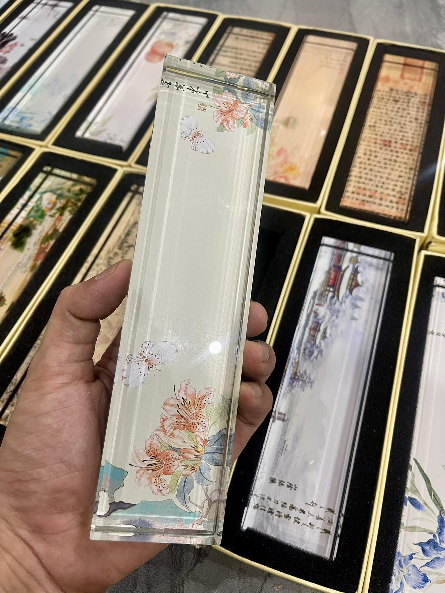 507602146_1326010712857996_4487157458425953104_n