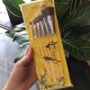 Bộ cọ vẽ tranh đầu vuông 6 cây Cán trong lông mềm, lên màu đều