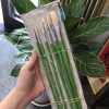 Bộ cọ vẽ tranh lông heo đầu oval, Cọ filbert cán gỗ xanh chắc chắn