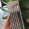 Bộ cọ vẽ tranh đầu vát xéo 6 cây flat brush lông mềm